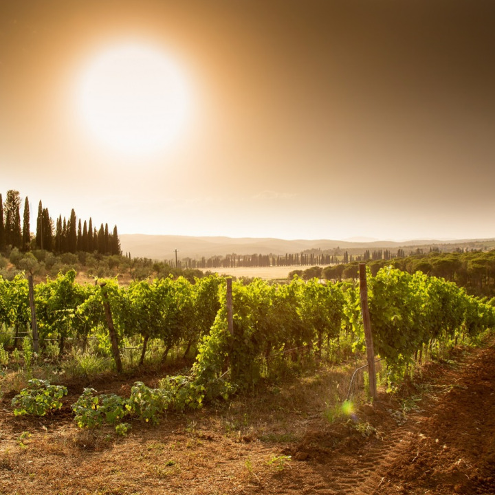 Time to Wine cadeaubon