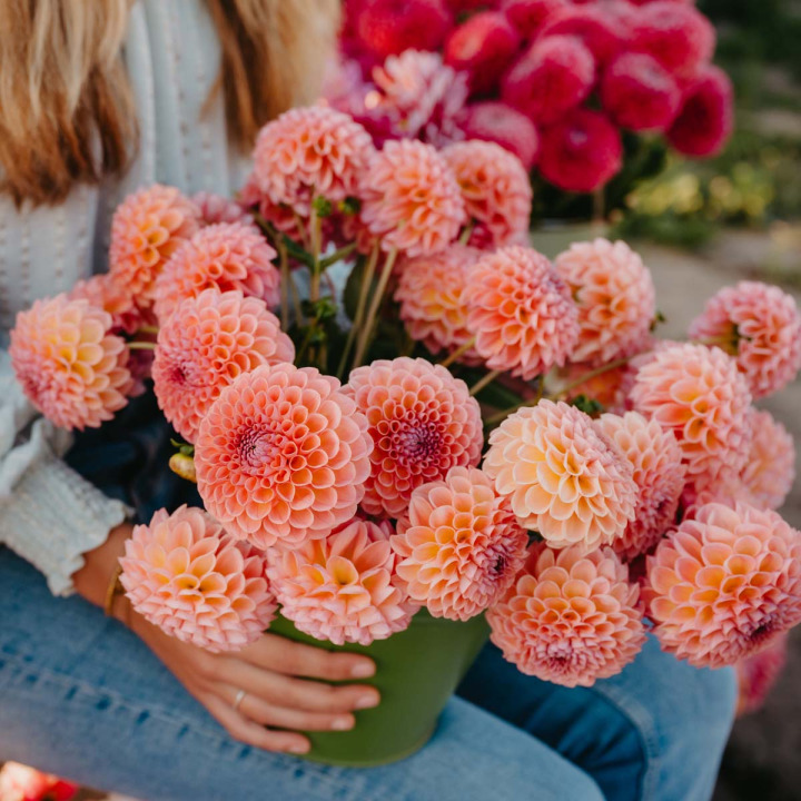 FAM Flower Farm cadeaubon